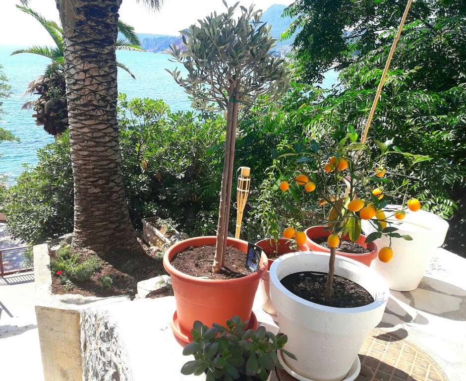 סוטומורה Two Palms Apartment מראה חיצוני תמונה